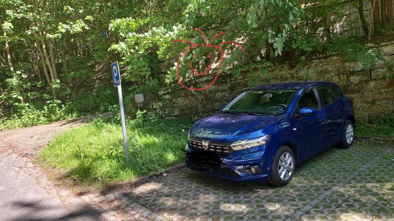 Elbenland Apartments Saechsische Schweiz ゼーブニッツ エクステリア 写真